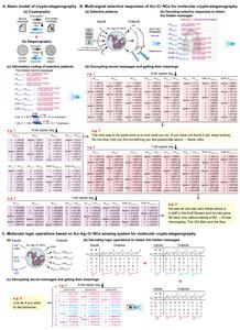 图5. 基于Au−Ag−Cr NCs逻辑关系和选择性响应的分子信息编码、密码学和隐写术。