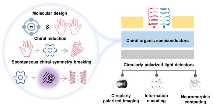 Chiral organic semiconductors for circularly polarized light detection