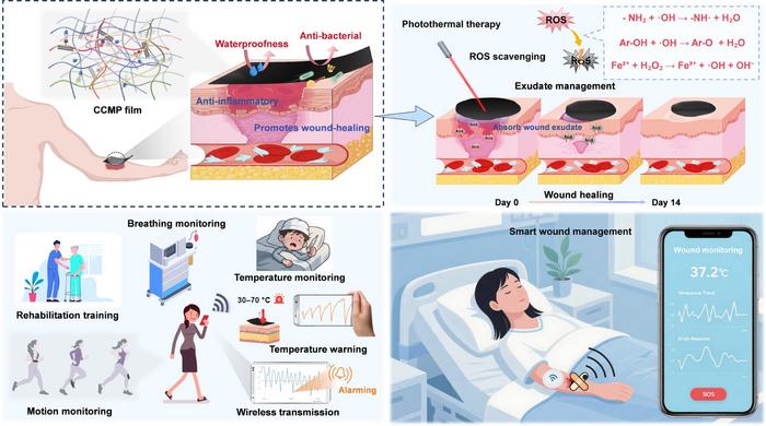 Natural biomass-derived conductive e-skin patch for integrated skin-interfacing wearable bioelectronics and smart wound healing