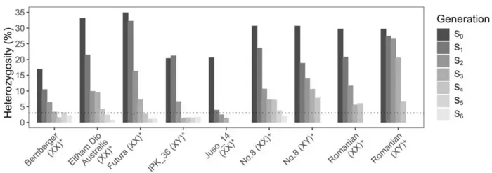 Summary of heterozygosity in each generation of IBLs with three or more generations, leaf samples were taken the day plants were introduced to flowering photoperiod, heterozygosity was estimated using a 1500 SNP panel and functionally homozygous was consi