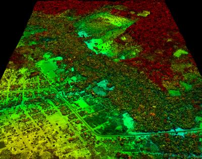 High-Resolution Carbon Map