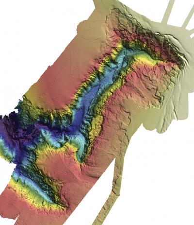 Finding the ASX200 for Marine Ecosystems (1 of 3)