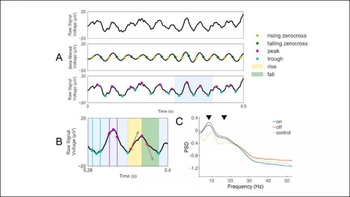 Waveform Shape Calculations