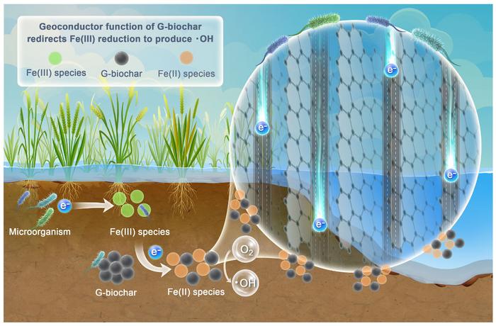 Geoconductor function of graphitized biochar redirects microbial Fe(III) reduction and stimulates hydroxyl radical production in paddy soil