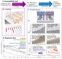 Suseptibility Test