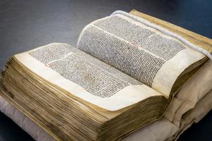 Peterhouse MS 255 at an angle