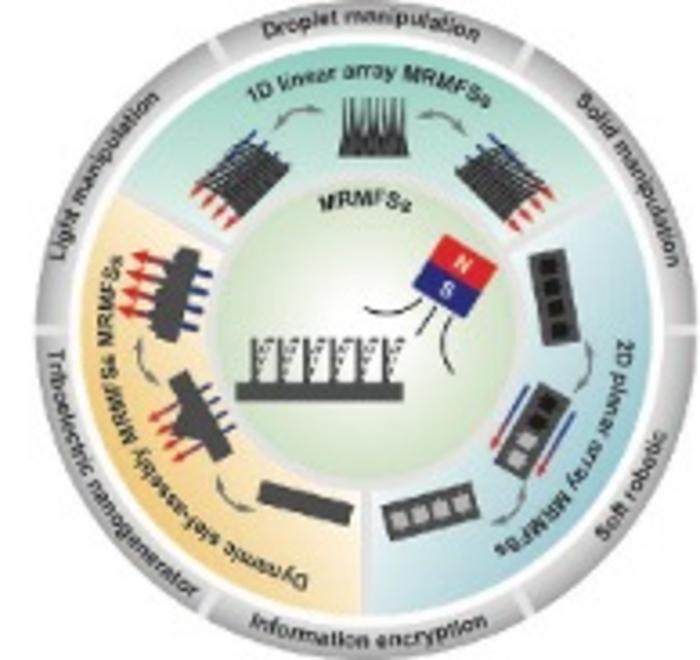 Schematic overview of Magnetically responsive microstructured functional surfaces (MRMFSs) design and applications
