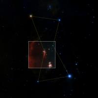 ZTF First Light with Orion