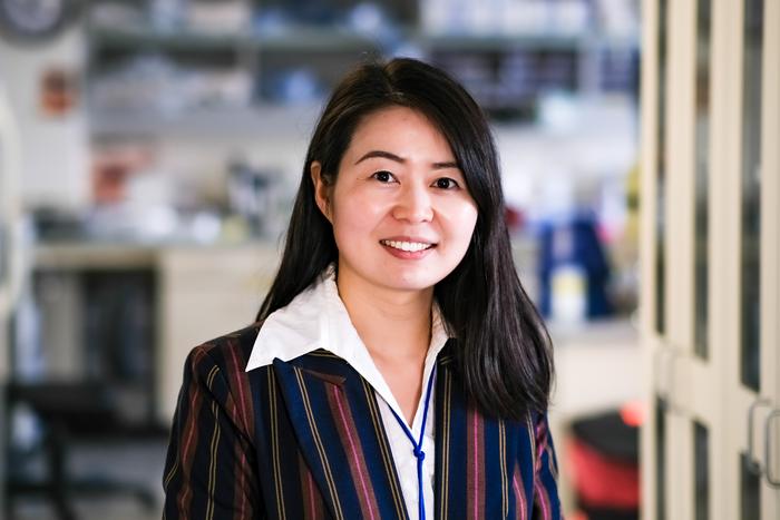 Xueqin Sun, Ph.D.