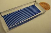 Microfluidic Device for Fly Embryos