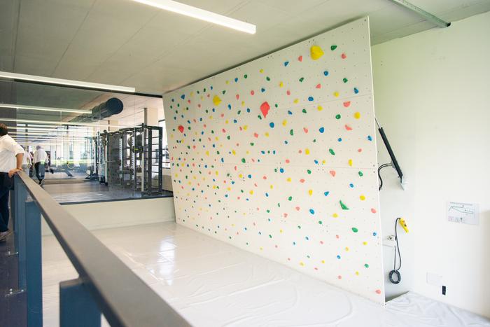 CAI climbing wall