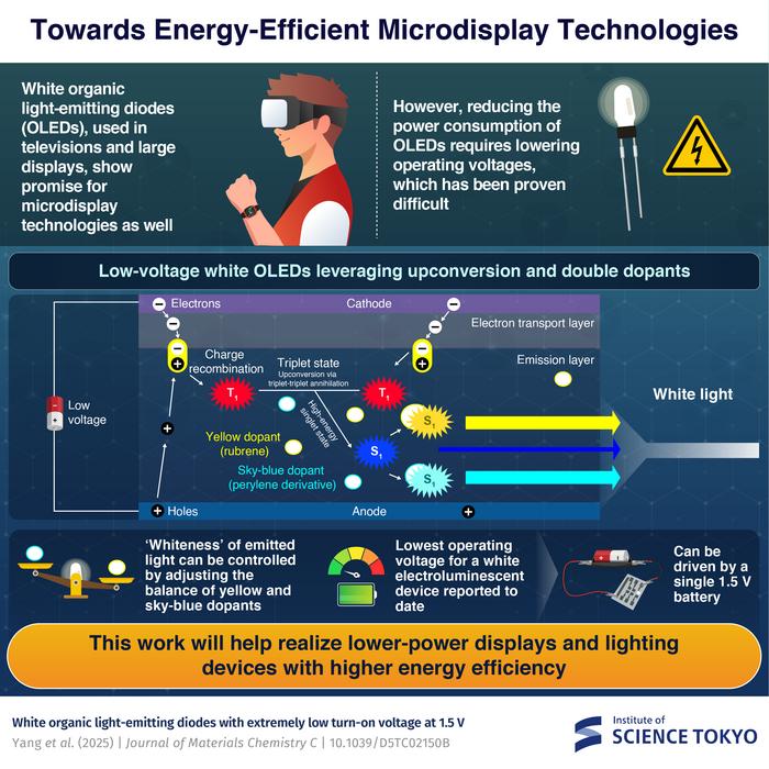 White organic light-emitting diode (OLED) that can operate at an exceptionally low voltage