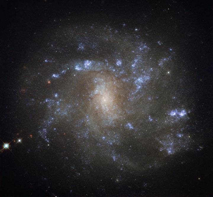 Hubble Spots a Barred Lynx Spiral