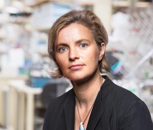 Clodagh O'Shea, Salk Institute