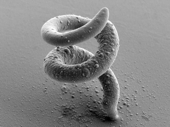 Helix