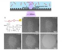Structure of a Photosensitive Surfactant
