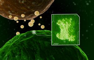 Biosensor