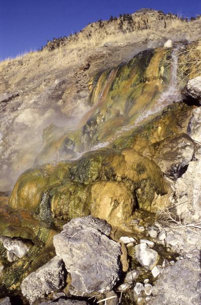 LaDuke Hot Spring in Gardiner, Montana