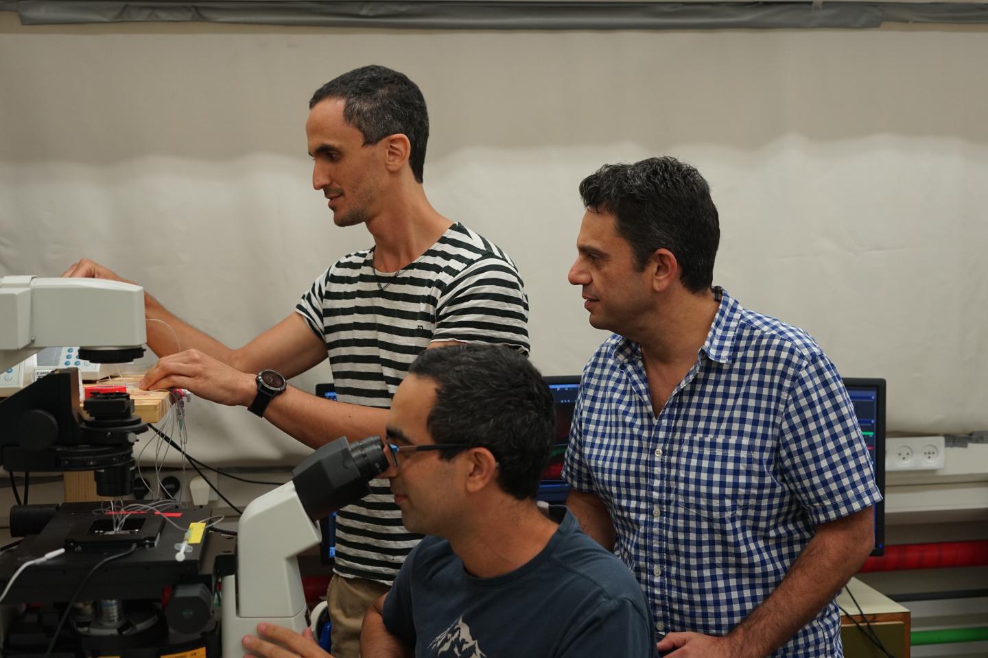 The Hebrew University Researchers at Work