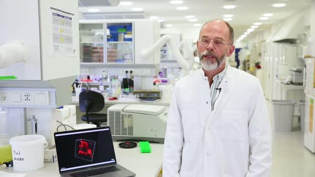 Stem Cells Pave the Way for New Treatment of Diabetes