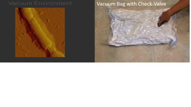 Wrinkling Graphene