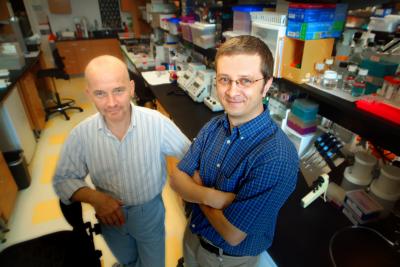 Drs. Leszek Ignatowicz and Rafal Pacholczyk