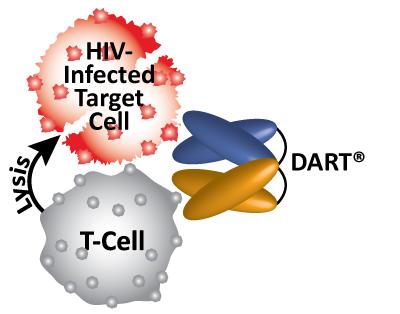 DART