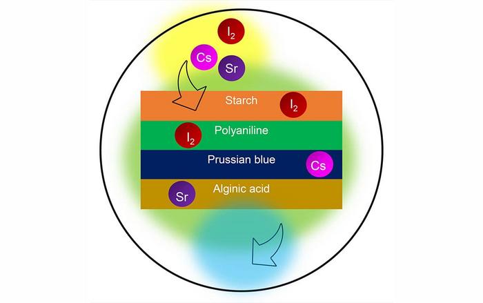 MULTI-LAYER PAPER COMPOSITE FOR SHIELDING OF Sr, Cs, AND IODINE