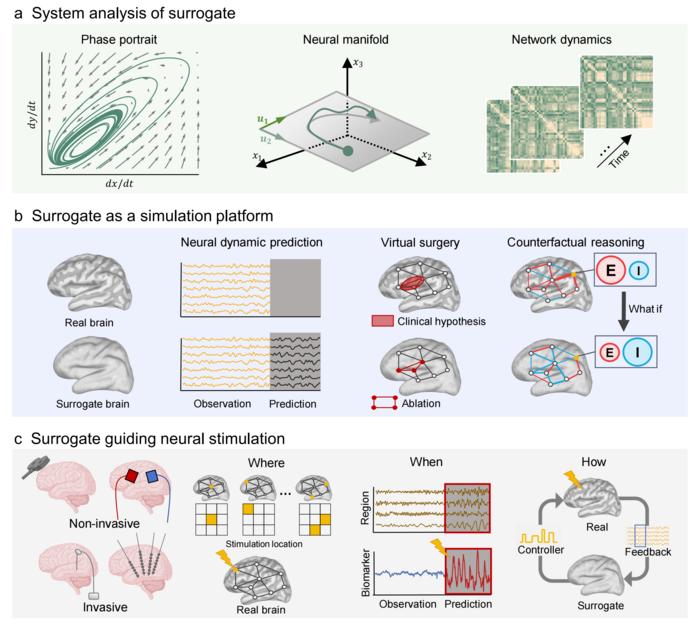 Key Applications of AI-Based Surrogate Brains in Analysis, Simulation, and Neurostimulation