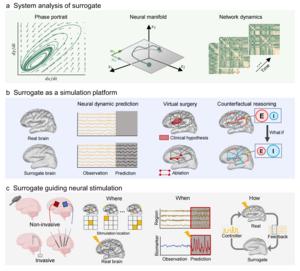 Key Applications of AI-Based Surrogate Brains in Analysis, Simulation, and Neurostimulation