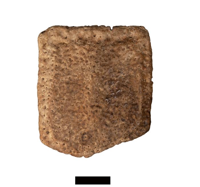 Pampathere plate