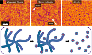 Worms to micelles