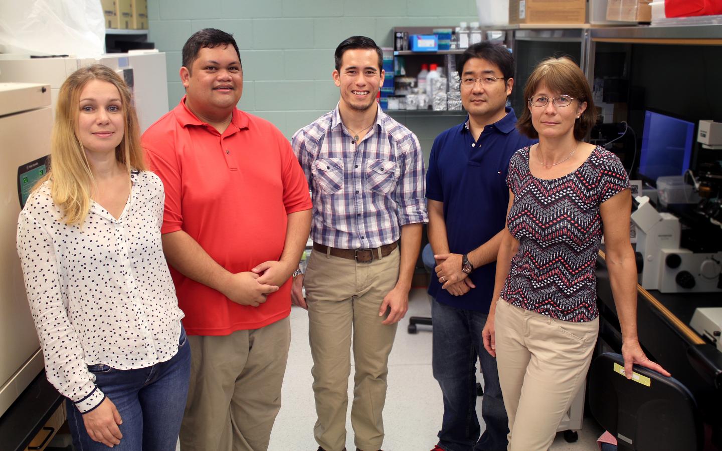Replacement of the Y Chromosome in Male Mice (6 of 10)