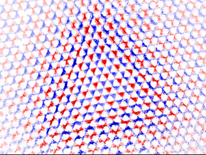 Enlargement of the silicon nitride membrane.