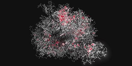 Virtual Genome