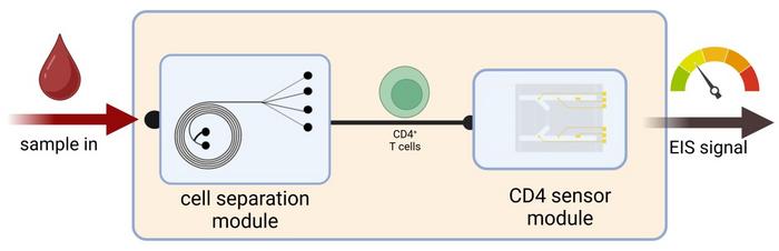 Microfluidic Biosensor CD4+ T-Cells