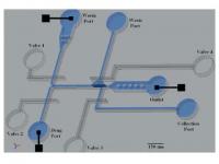 NeuroChip (2 of 2)