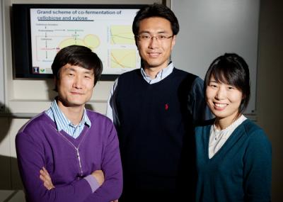 Building a Better Yeast for Biofuel Production