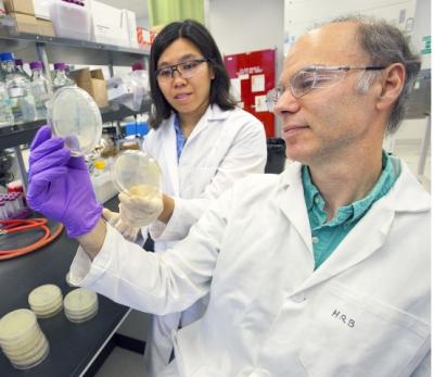 Ee-Been Goh and Harry Beller, Joint BioEnergy Institute
