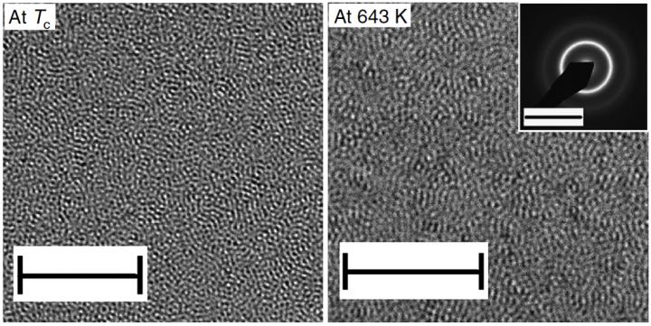 Transmission Electron Microscope (TEM) Images of Pd-Ni-P Metallic Glass