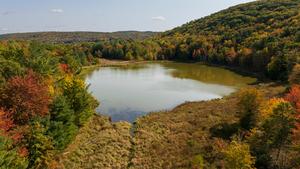 Nature Preserve