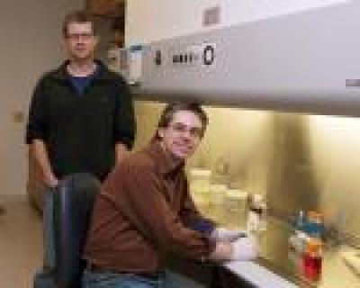 Thomas Weimbs and Jonathan Shillingford, University of California - Santa Barbara