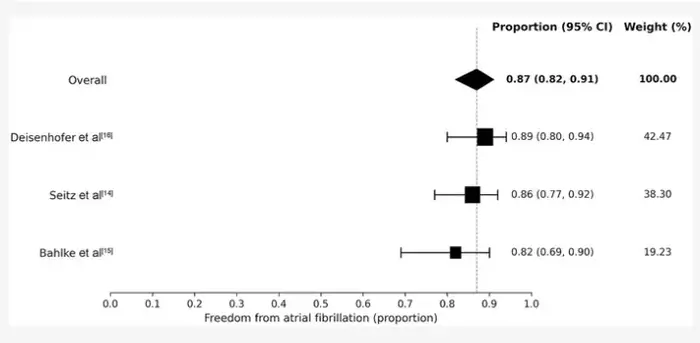 Freedom from atrial fibrillation at 12 months after artificial intelligence-guided spatiotemporal dispersion area ablation: meta-analysis of proportions