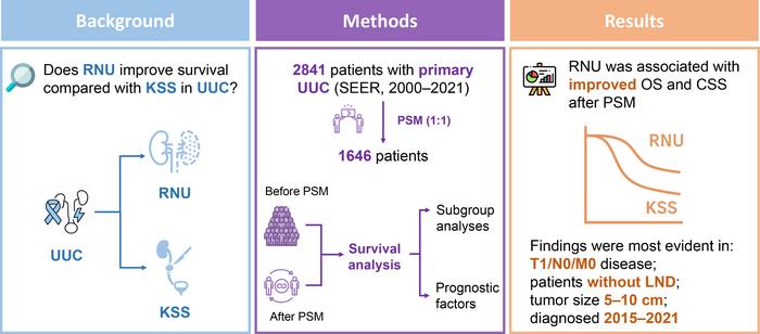 Population-based comparison of kidney-sparing and radical surgery for ureteral urothelial carcinoma