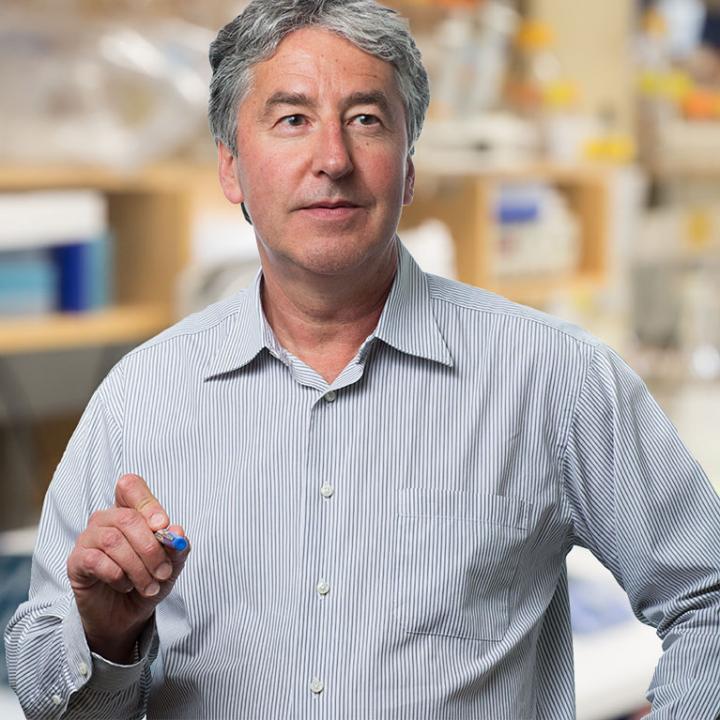 Gerald Joyce, Salk Institute