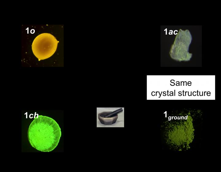 Illustration of Transitions