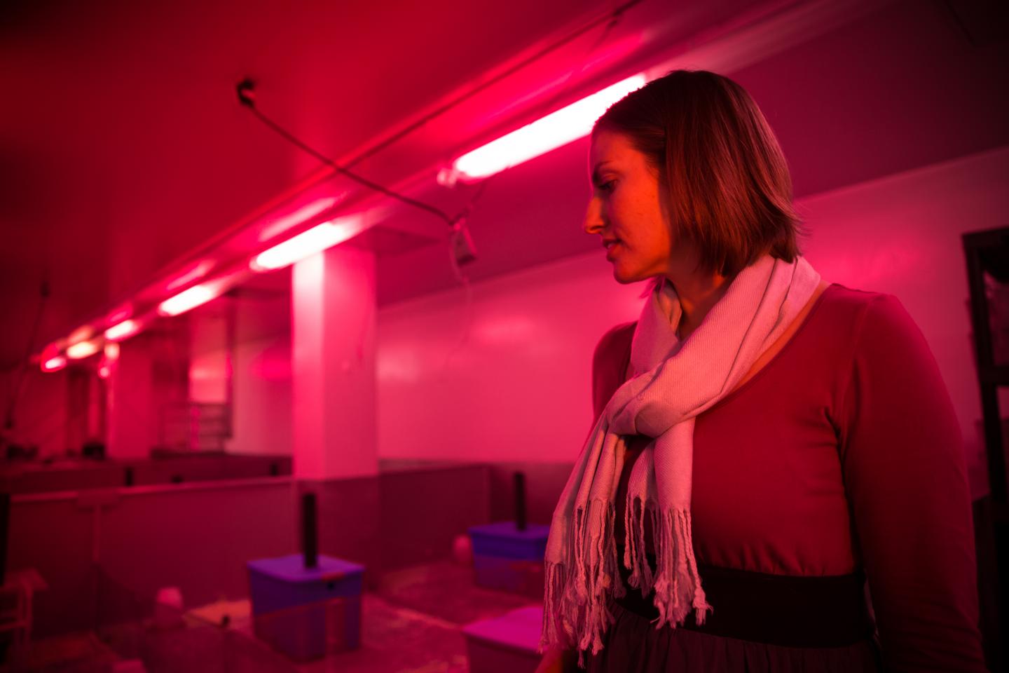 Shannon M. Gaukler, University of Utah