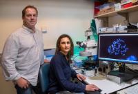 Karlseder Lab