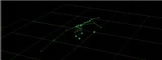 Computer Imaging of a Lizard Running