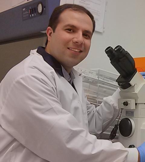 Mohamad Khazaei, Ph.D.